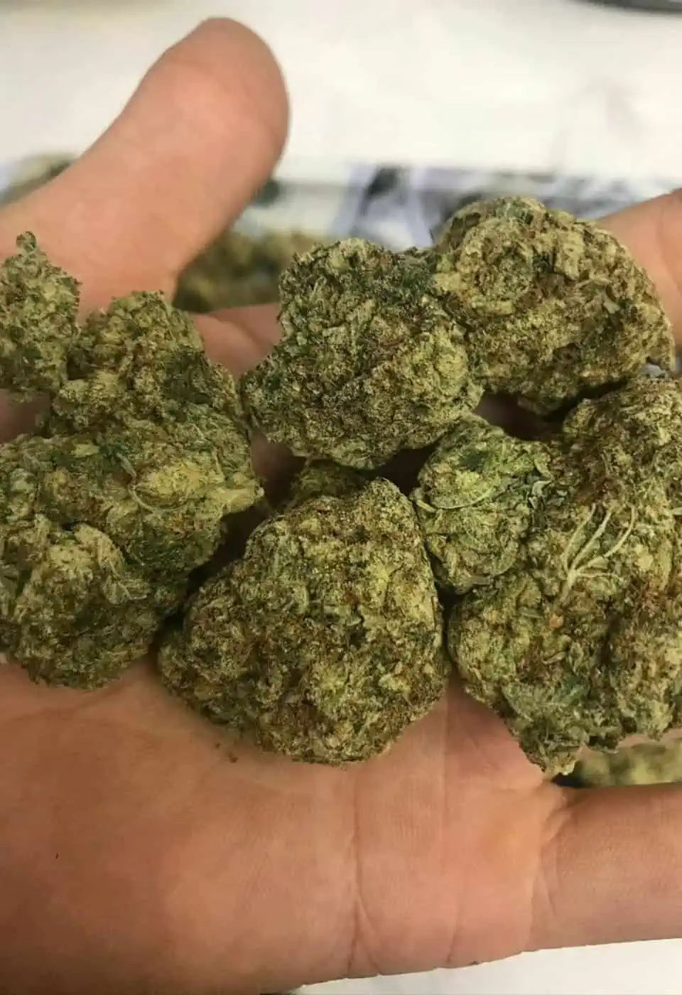 Super Glue - Imported - Saigon Weed - saigonweed.com