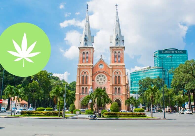 Weed in saigon - Saigon Weed - saigonweed.com