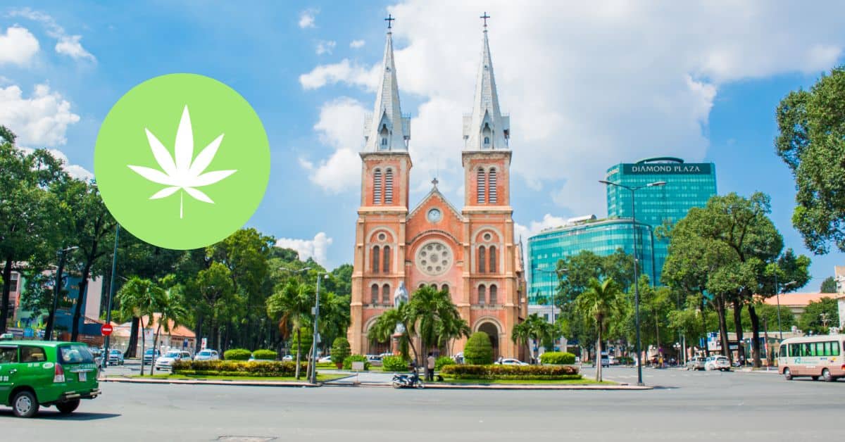 Weed in saigon - Saigon Weed - saigonweed.com