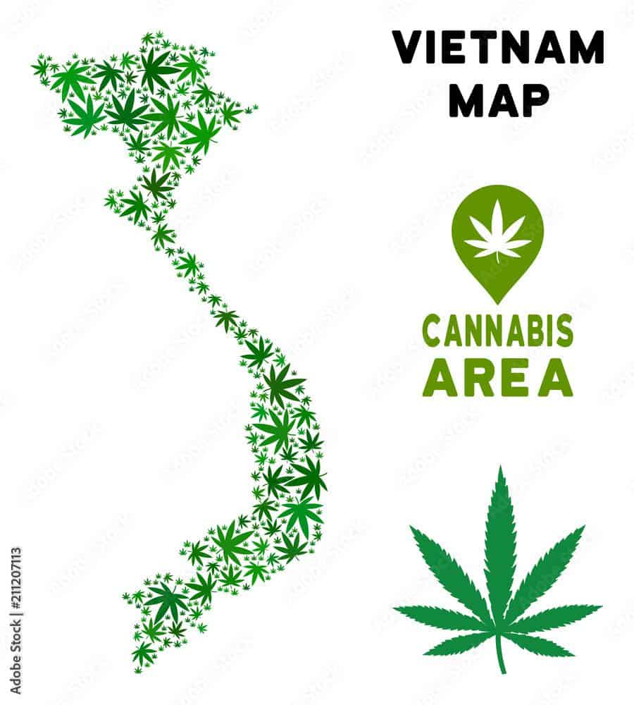 Overview of Cannabis Laws in Countries near Vietnam - Saigon Weed